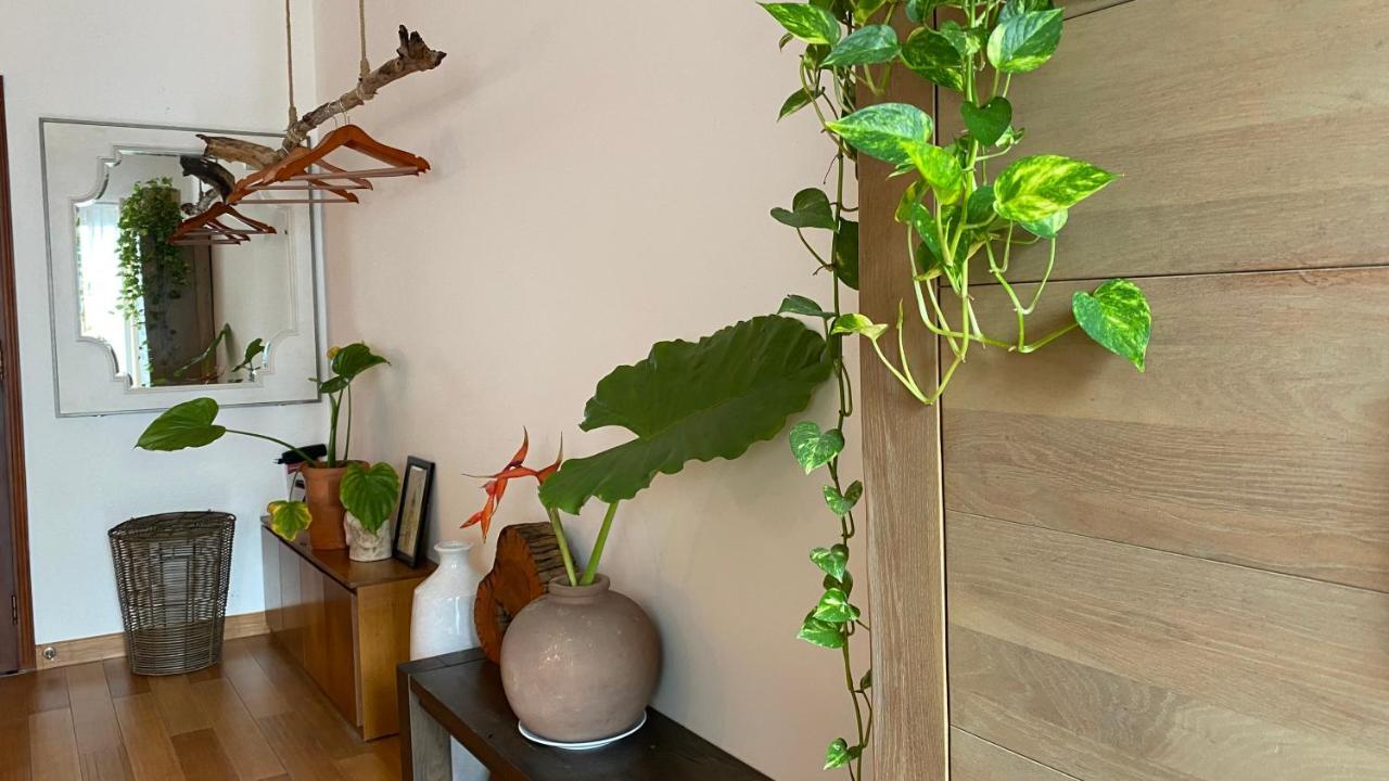 Apartment Notre Maison 5 Saigon Close Walking Street In Thao Dien D2 Ho Chi Minh City