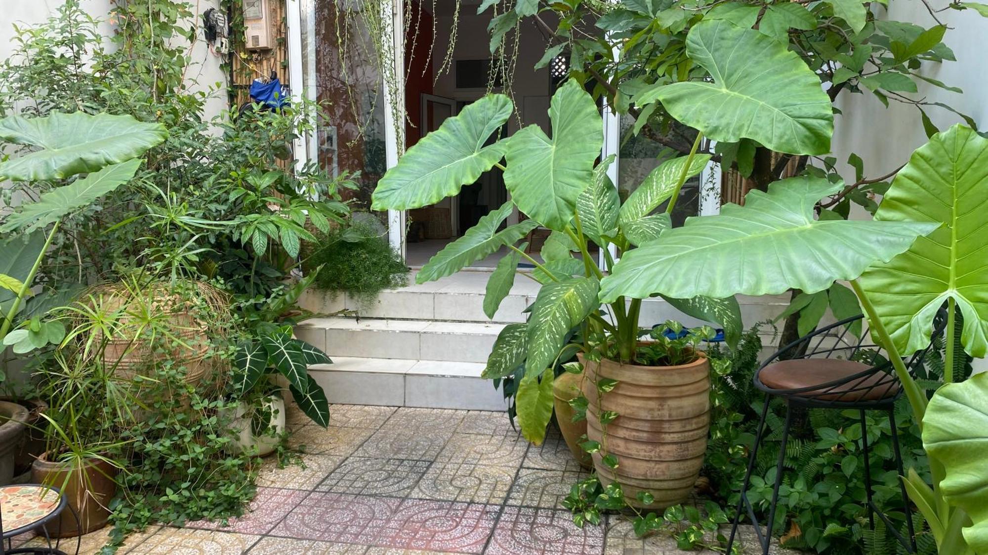 Apartment Notre Maison 5 Saigon Close Walking Street In Thao Dien D2 Ho Chi Minh City